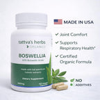 Boswellia Serrata CO2 Extract 500 mg - 240 Cápsulas Veganas (2 Pack)