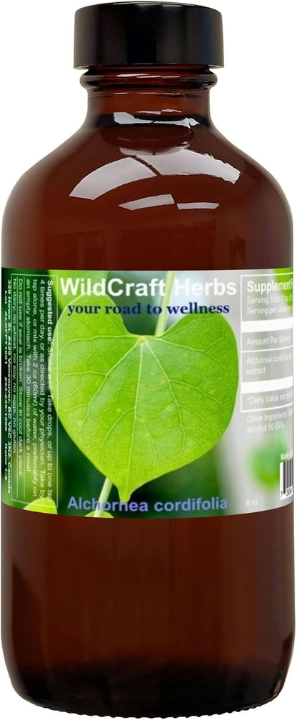 Extracto de Alchornea Cordifolia 4 oz (118 – Presentación en frasco de 4 oz (118 ml). – Image 7