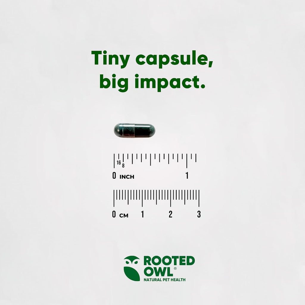 Rooted Owl® Blood Support para Perros y Gatos con Espirulina y Chlorella