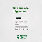 Rooted Owl® Blood Support para Perros y Gatos con Espirulina y Chlorella