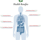 Foods For Gut Probióticos en Polvo Histamina y D-Lactato Libre 240 Mil Millones UFC 60g