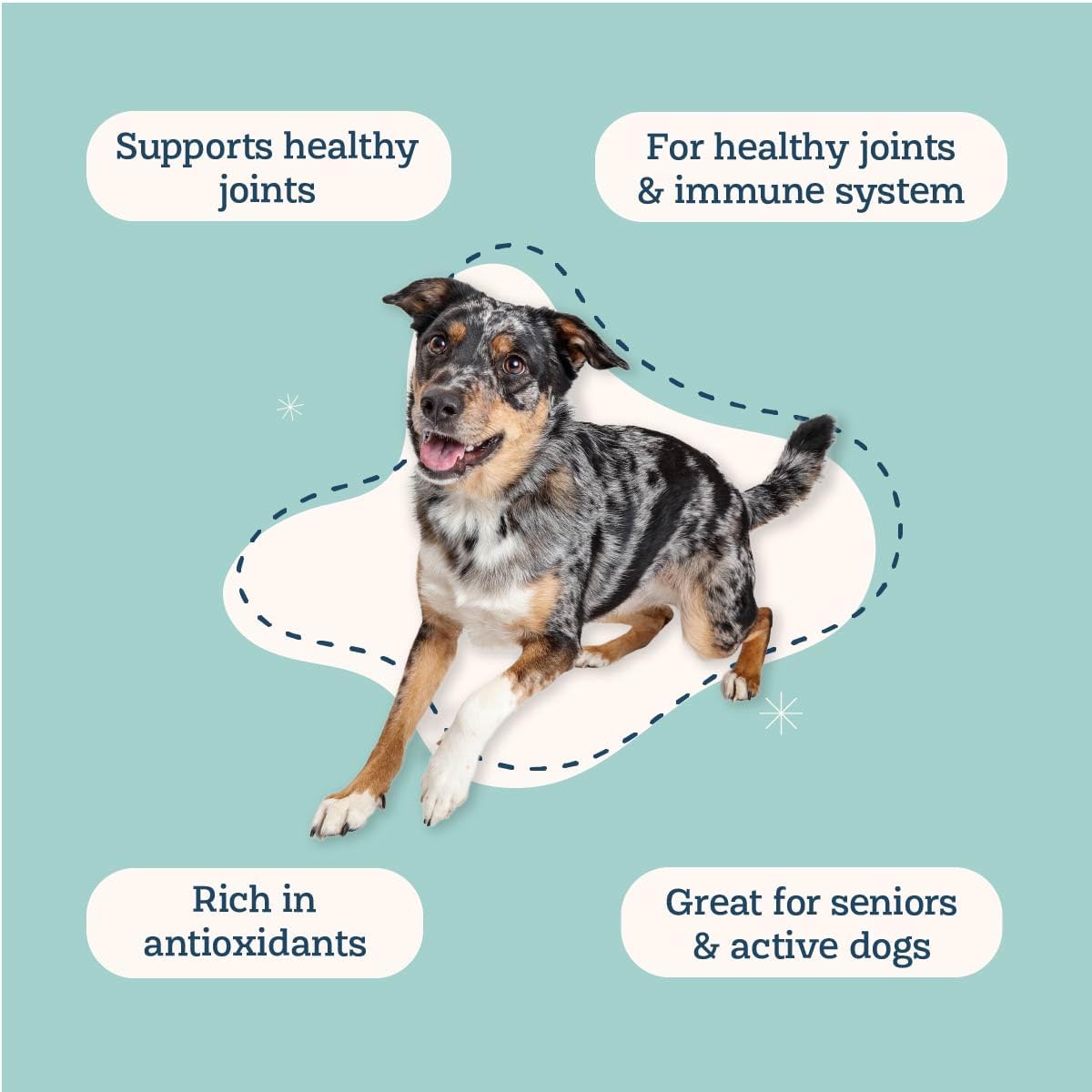 Alice & Eli Golden Groovin' Turmeric para Perros - Apoyo Inmunitario y Articular Natural con Curcumina Orgánica, MCT y Fenogreco - Suministro para 30 Días para Perros Grandes