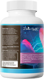Divine Health Brain Zone Basic | Complejo de Vitaminas B Activas, Trimetilglicina y Curcumina | 120 Cápsulas