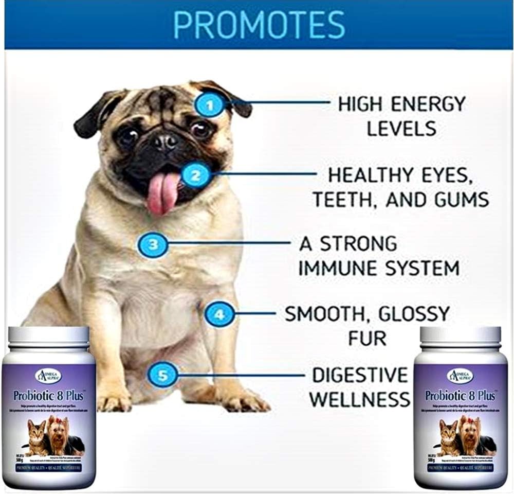 Omega Alpha Probiotic 8 Plus - Probiótico y enzimas para perros y gatos (500g)