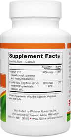 Wellness Resources B12 y Folato - Complemento con Metilcobalamina y 5-MTHF