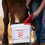 MVP Air-Way EQ - Suplemento respiratorio para caballos, 2.27 kg (40 raciones)