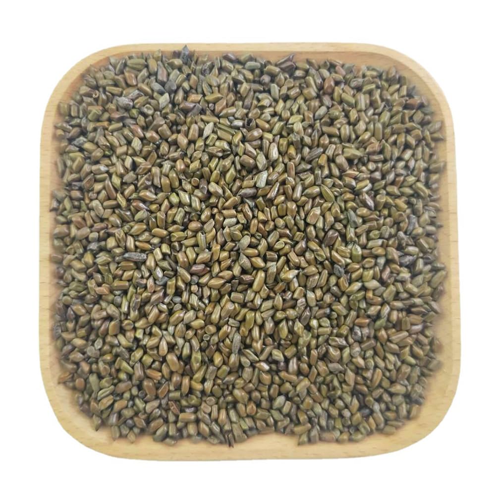 Semen Cassiae Jue Ming Zi (100g)