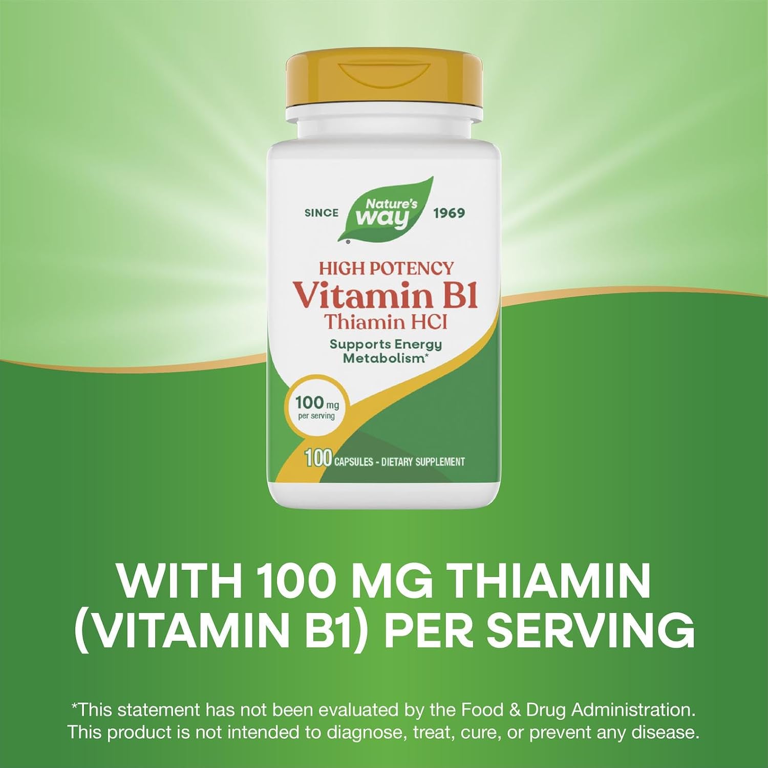 Nature's Way Vitamin B1, High Potency, 100 mg Thiamine (Thiamine HCl), 100 Capsules