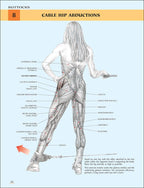 Anatomía del entrenamiento de fuerza para mujeres