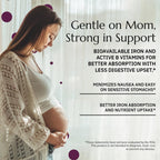 Neurobiologix Prenatal Evolved - Multivitamínico Prenatal Completo para Mujeres