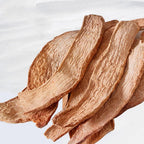 Cynomorium Songaricum (Suo Yang) Orgánico en Rodajas - 1 kg