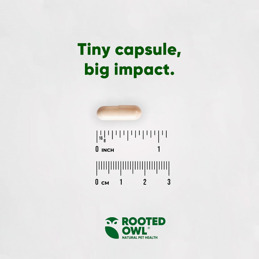 Rooted Owl® Suplemento de Hongos para Perros y Gatos - Apoyo Inmunológico - 60 Cápsulas