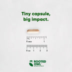 Rooted Owl® Suplemento de Hongos para Perros y Gatos - Apoyo Inmunológico - 60 Cápsulas