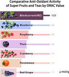 Vision Smart Supreme - Premium Ocular Supplement with Blackcurrant Anthocyanins (3-Pack)