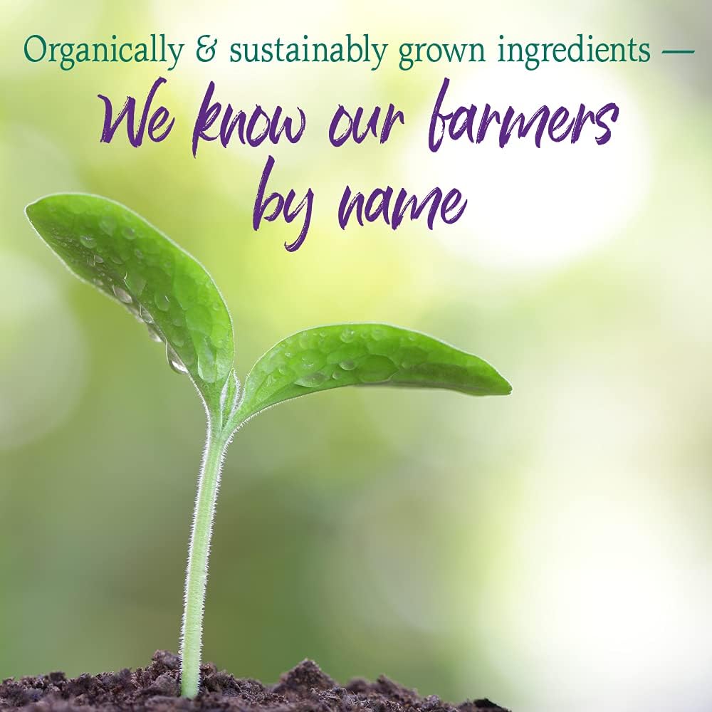 Garden of Life Raw Organic Perfect Food Alkalizer y Detoxifier, Sabor Limón Jengibre, Polvo Superfood, 30 Porciones