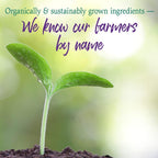Garden of Life Raw Organic Perfect Food Alkalizer y Detoxifier, Sabor Limón Jengibre, Polvo Superfood, 30 Porciones