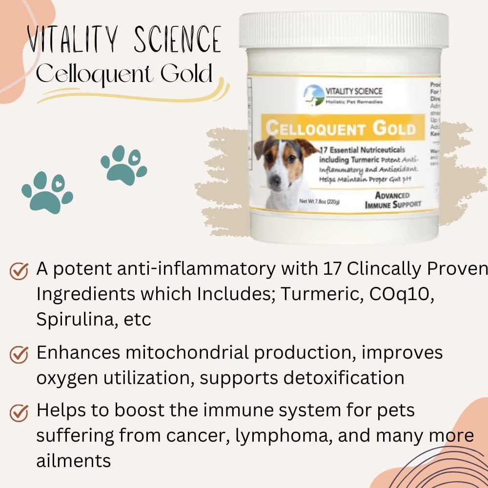 Vitality Science Celloquent Gold para Perros - Suplemento de Apoyo Inmunológico Avanzado con 17 Ingredientes Naturales - 60g