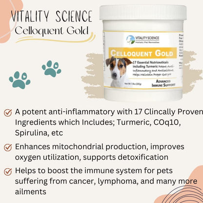 Vitality Science Celloquent Gold para Perros – Cúrcuma: Conocida por sus propiedades antiinflamatorias y – Image 5