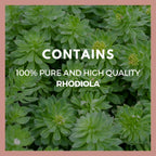 Rhodiola Rosea 1000 mg - 60 Cápsulas Veganas - Suplemento Adaptógeno Natural