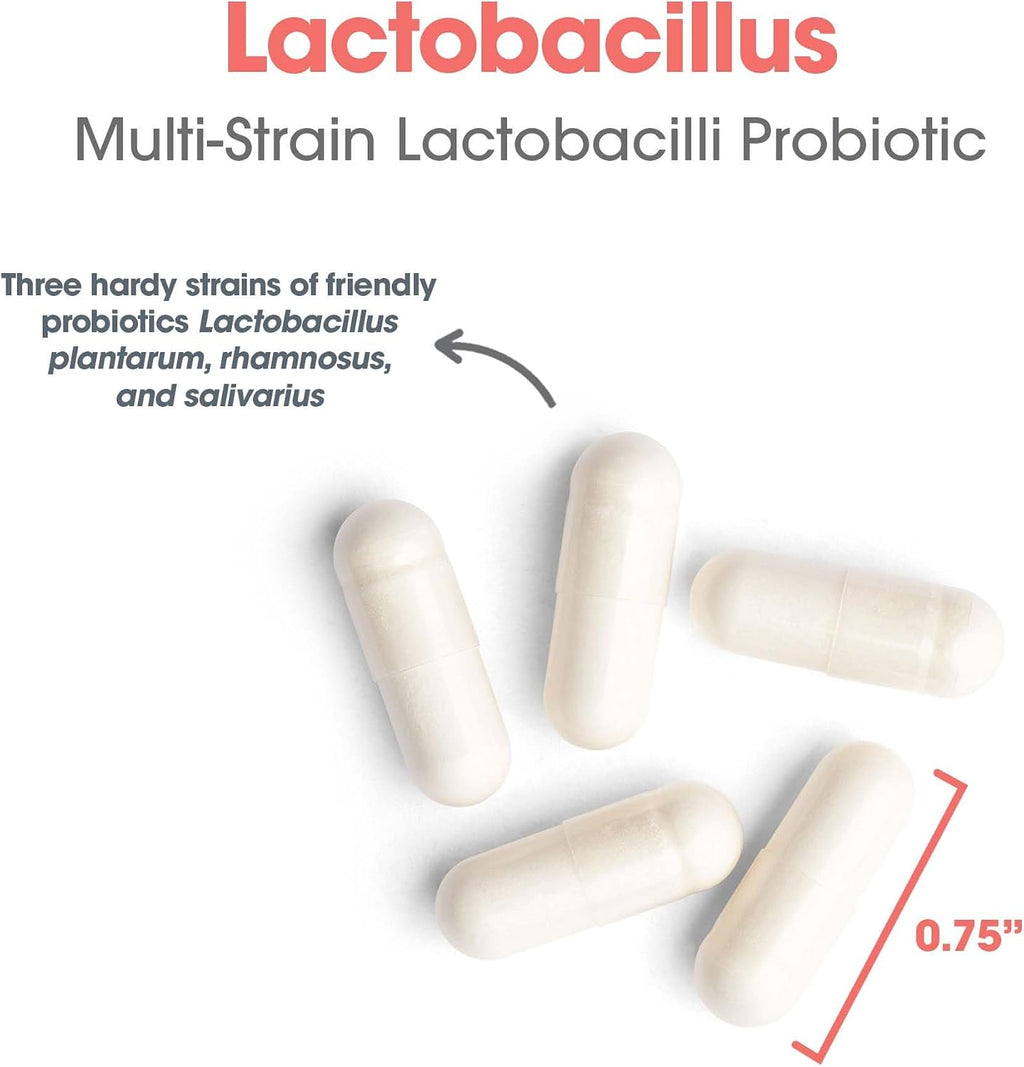 Allergy Research Group ARG Lactobacillus – Probiótico Multicepa, 100 Cápsulas