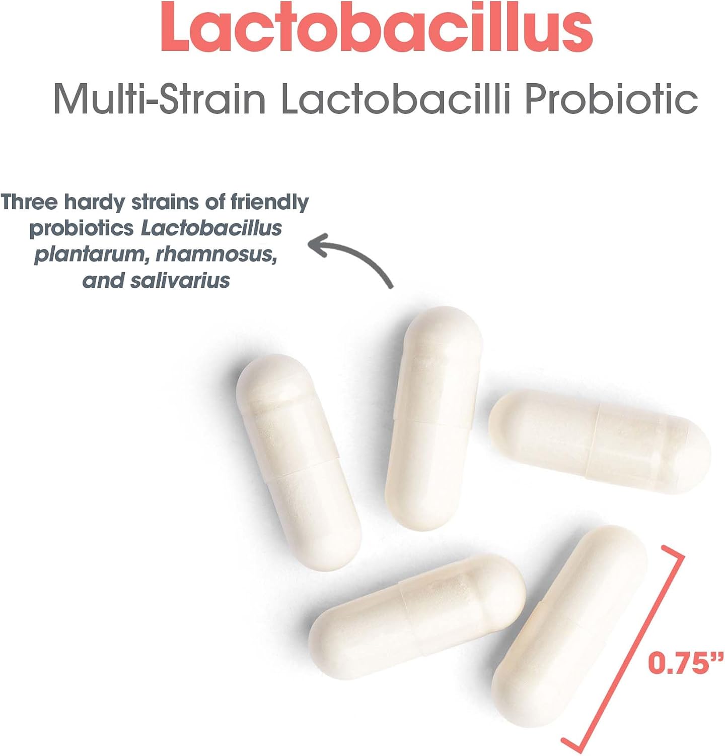 Allergy Research Group ARG Lactobacillus – Probiótico Multicepa, 100 Cápsulas