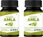 ORGANIC SPREE Comprimidos de Amla Orgánica - 1200 mg por ración - 120 comprimidos (Pack de 3)