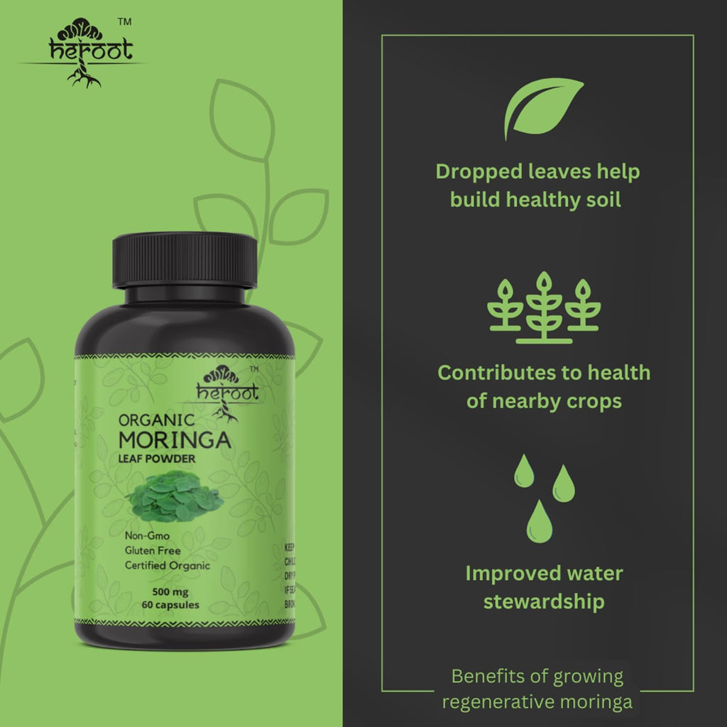 Cápsulas de Moringa Orgánica | Suplemento de Hojas de Moringa Verde para Energía, Metabolismo y Apoyo Inmunológico – 120 Cápsulas, Superalimento Natural