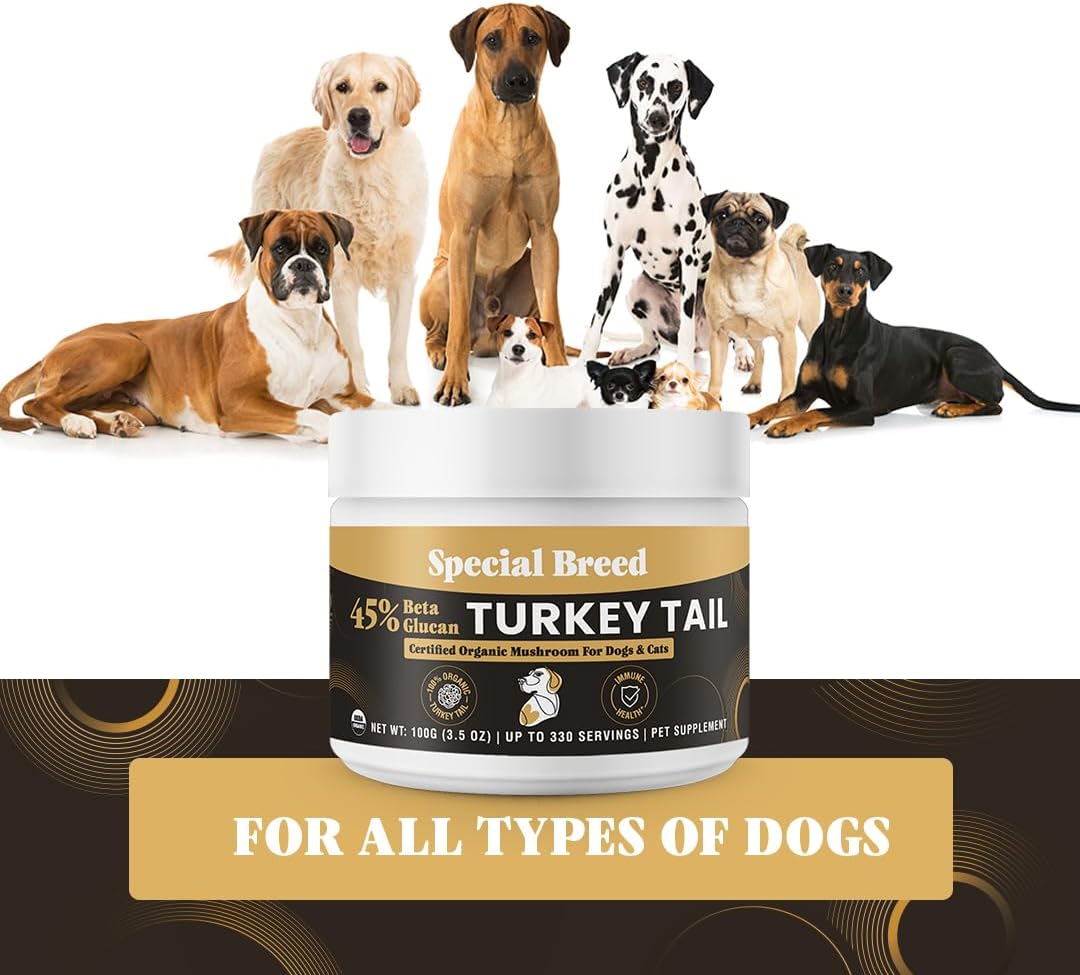 Cola de Pavo Orgánica para Perros y Gatos - Estandarizado al 45% de Beta Glucanos - Cuerpo Frutal Completo Extraído en Agua Caliente - Probado por Terceros - Apoyo Inmunológico y Digestivo - Sin Rellenos - Hecho en EE.UU. - 330 cápsulas