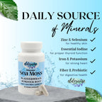 Elderwise Sea Moss Cápsulas - Alga Marina con Bardana y Fucus - 60 Cápsulas Veganas