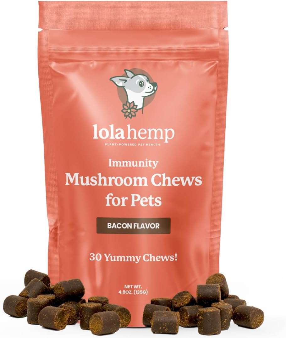 Suplemento de setas para perros - Masticables con setas orgánicas para inmunidad y cognición - Cola de pavo, Reishi, Shiitake, Maitake, Melena de león