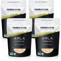 Terrasoul Superfoods Polvo de Amla Orgánico (Amalaki), 4 Libras - Rico en Vitamina C Antioxidante | Apoya la Inmunidad