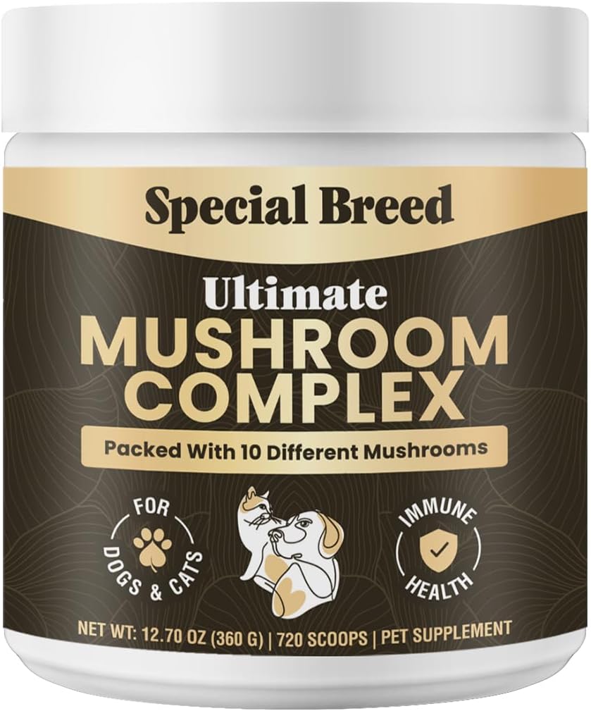Mushroom Powder for Dogs & Cats - Organic Mushroom Complex for Immune Support, Cognition, Vitality - Ten Mushroom Supplement with Turkey Tail, Lion's Mane, Reishi - 180 Scoops