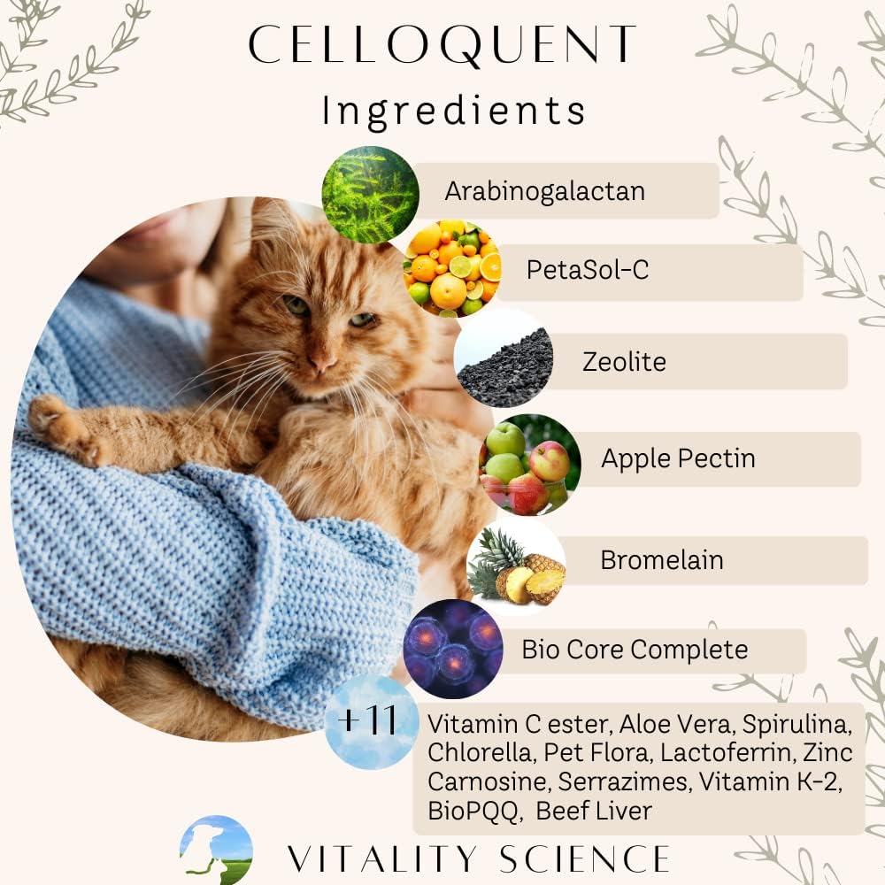 Vitality Science Advanced Immune Restoration Suplemento para Perros – Protocolo de Regeneración Intensa – Ayuda para el Alivio del Dolor (Tamaño Mediano)