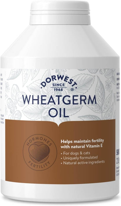 Cápsulas con Aceite de Germen de Trigo para – Proteger las células del daño oxidativo. – Image 1