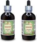 HerbalTerra Shankhpushpi (Convolvulus Pluricaulis) Extracto Líquido sin Alcohol - 2x118 ml