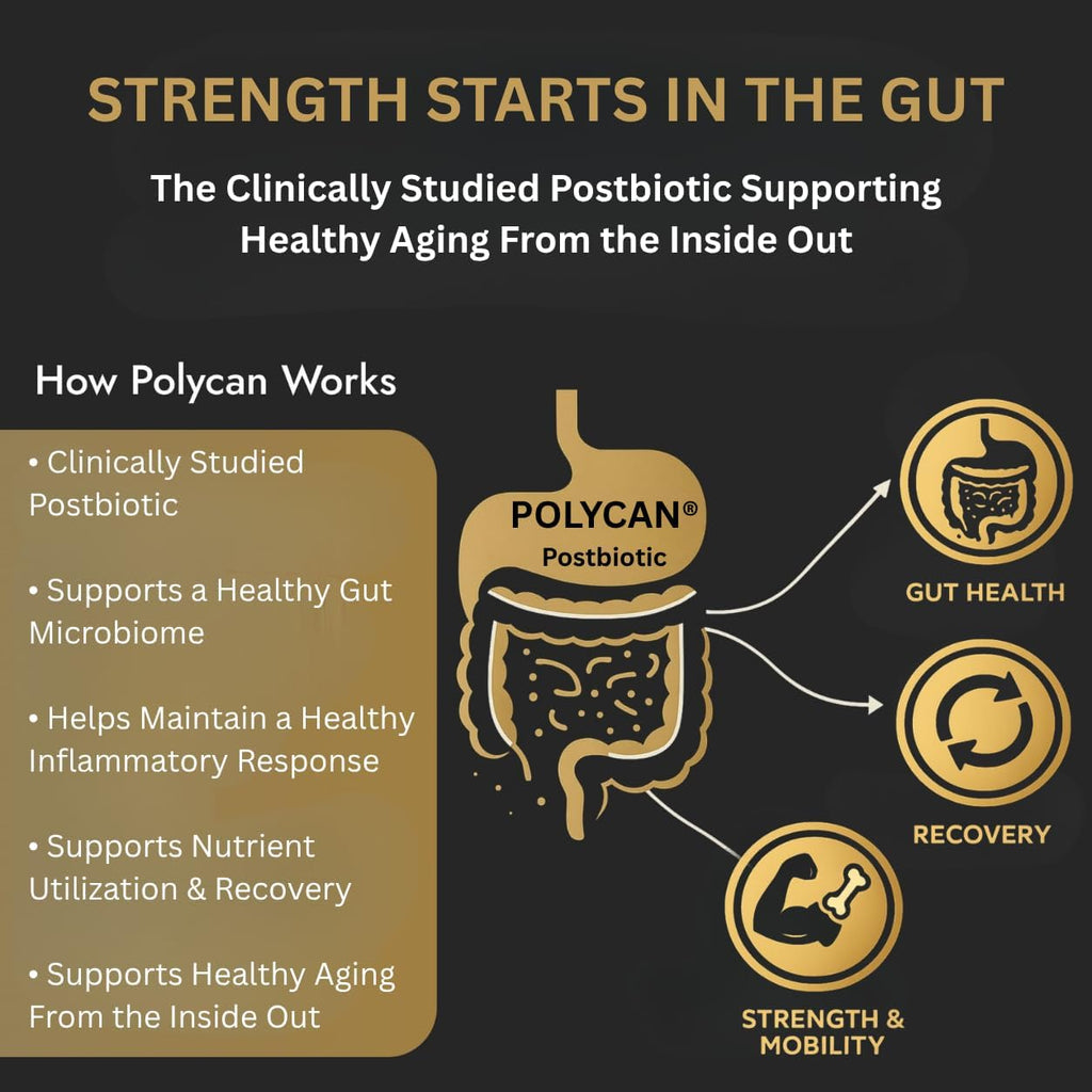 40+ Muscle Bone Joint Support | Posbiótico Polycan® Estudiado Clínicamente | Apoyo para Salud Ósea, Muscular y Articular | 60 Cápsulas
