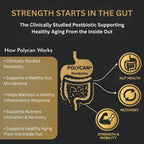40+ Muscle Bone Joint Support | Posbiótico Polycan® Estudiado Clínicamente | Apoyo para Salud Ósea, Muscular y Articular | 60 Cápsulas