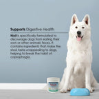 Nixit Gránulos Anticoprofagia para Perros, Sabor a Hígado de Pollo y Pescado Natural, 298 g