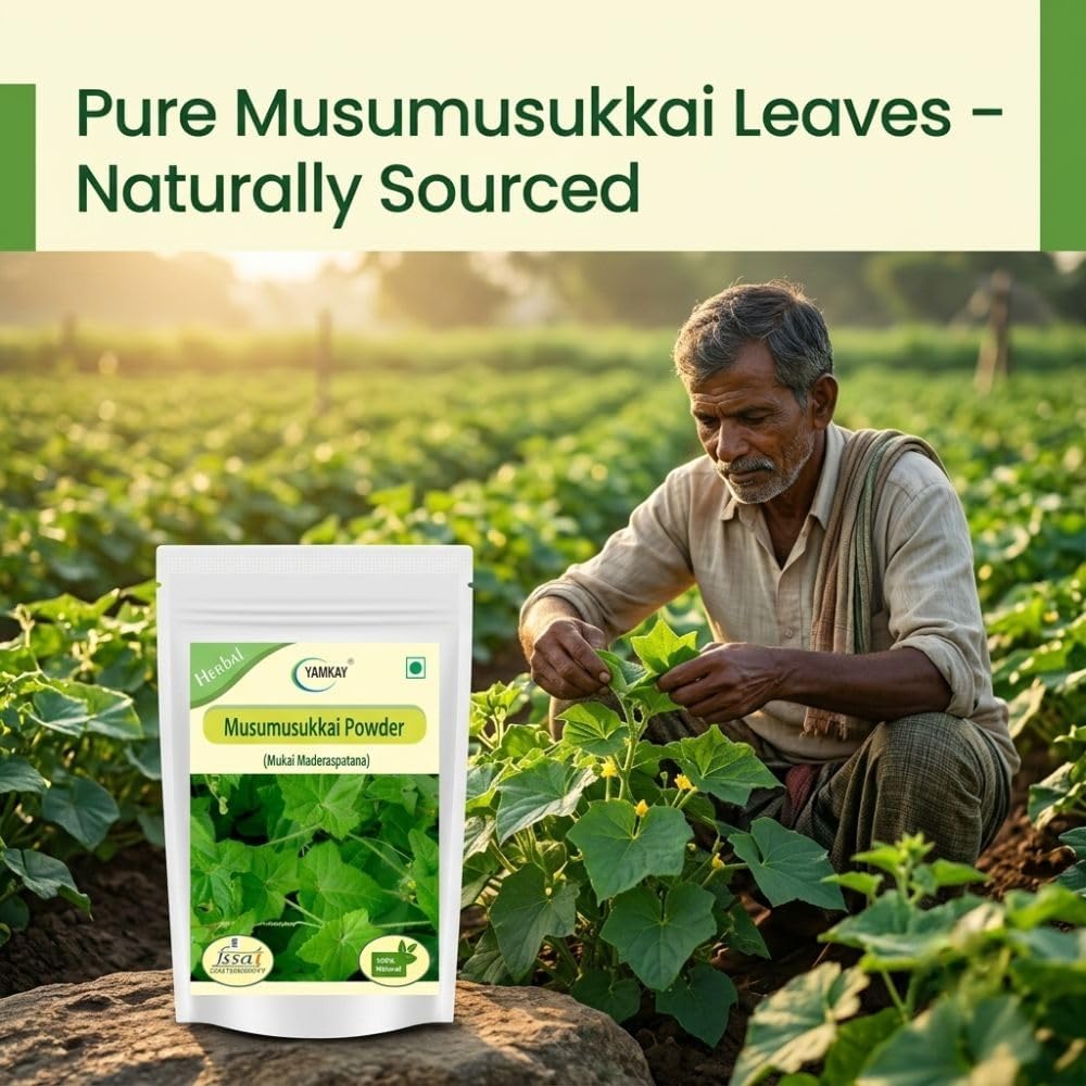 Musumusukkai Powder | Solanum Trilobatum | Mukia Maderaspatana | Aganaki | Agumaki | Musumusukaya | Chitrati | Bilavi (300)