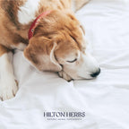 Hilton Herbs Canine Tranquility Suplemento de Hierbas para Perros, 125 g