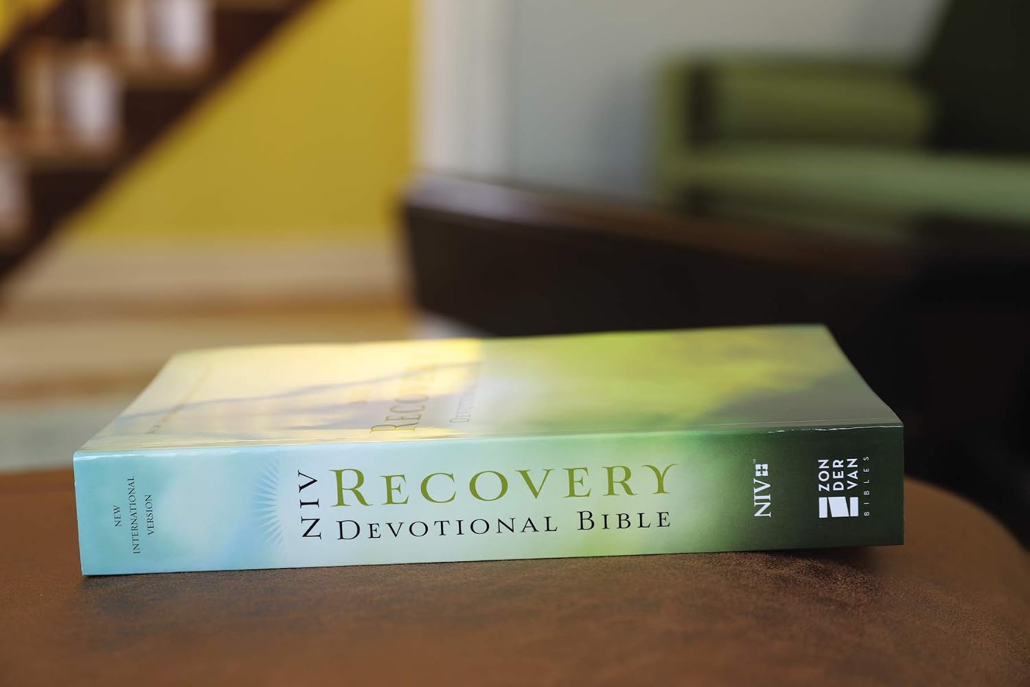 NIV, Biblia Devocional de Recuperación, Tapa Blanda