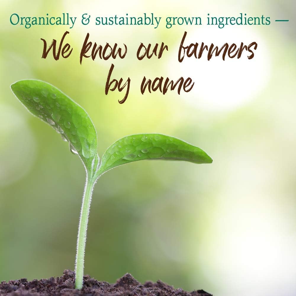 Garden of Life Raw Organic Perfect Food - Superalimento Verde en Polvo Sabor Chocolate, 30 Raciones