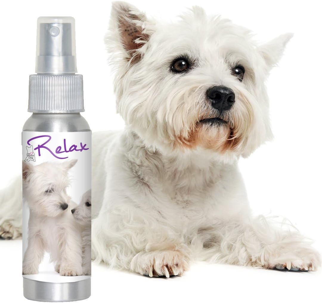 The Blissful Dog Spray de Aromaterapia Relax para Perros West Highland White Terrier - Alivia la Ansiedad Canina