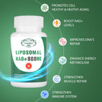 NAD+ Plus Liposomal 800mg - 60 Cápsulas