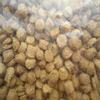 Asafoetida (Ferula assa-foetida) - 100g