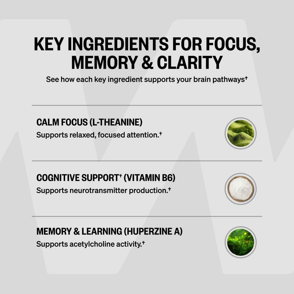 ONNIT Alpha Brain - Suplemento Nootrópico de Enfoque y Memoria con L-Teanina y Vitamina B6, 90 Cápsulas