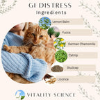 Vitality Science TRDV Protocol for Dogs | Probióticos para Diarrea y Soporte Digestivo | Tamaño Pequeño (Sabor a Carne)