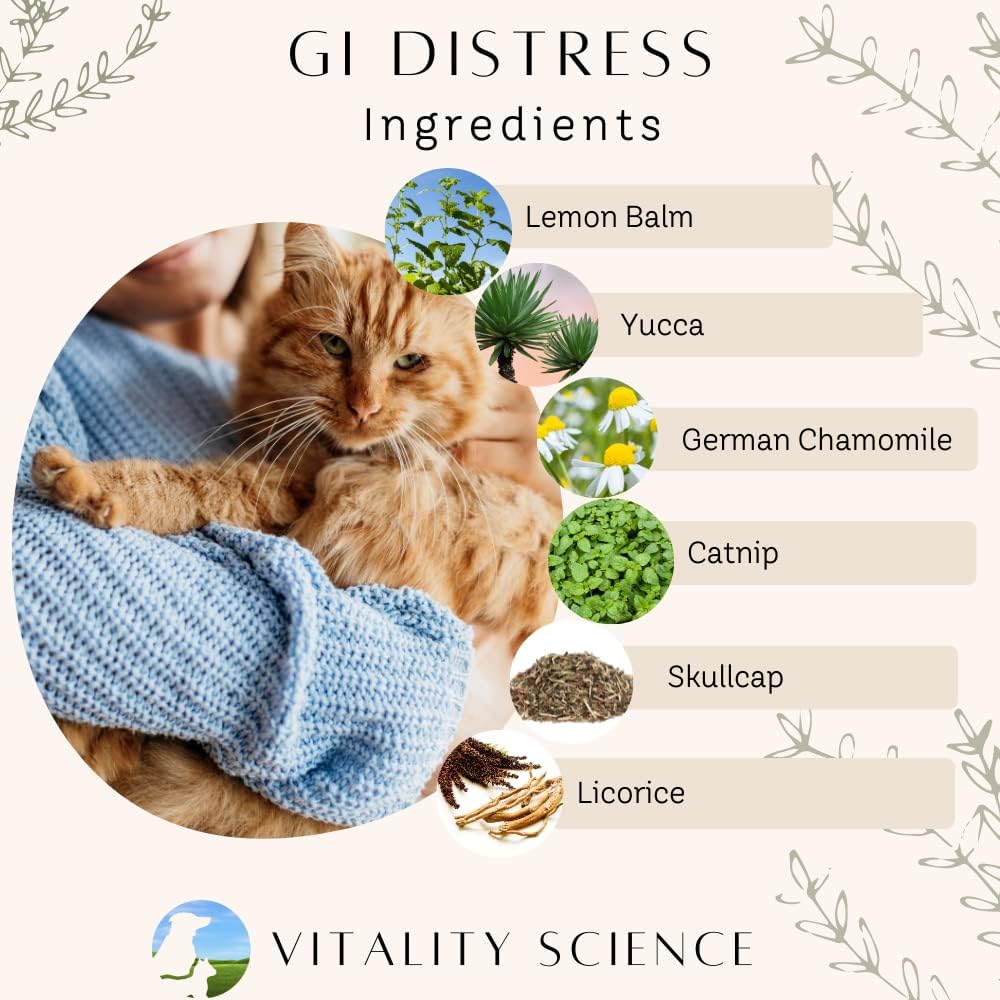 Vitality Science TRDV Protocol for Dogs | Probióticos para Diarrea y Soporte Digestivo | Tamaño Pequeño (Sabor a Carne)