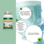 Immuniherb Suplemento de Apoyo Inmunológico con Jengibre, Forsythia, Regaliz, Vitamina C y Zinc - 60 Cápsulas Veganas
