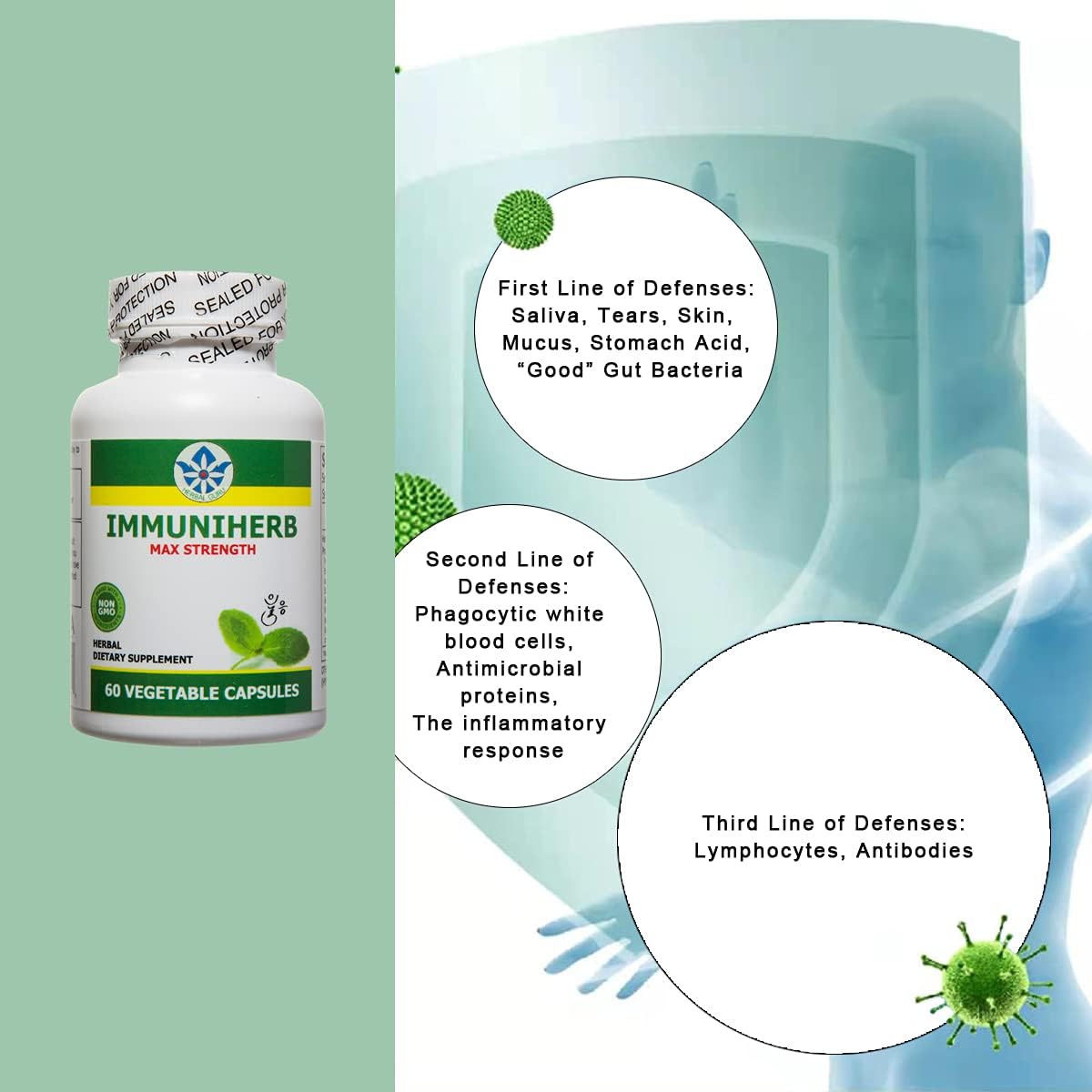 Immuniherb Suplemento de Apoyo Inmunológico con Jengibre, Forsythia, Regaliz, Vitamina C y Zinc - 60 Cápsulas Veganas